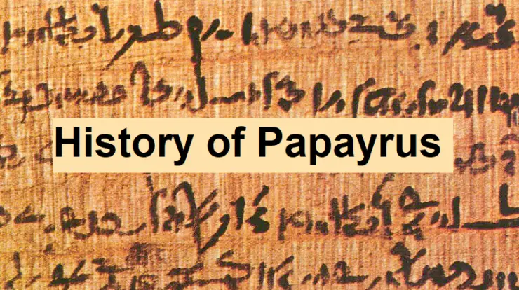 history of papyrus