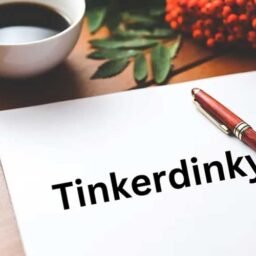 Tinkerdinky: Camgirl Insights and Profile Details